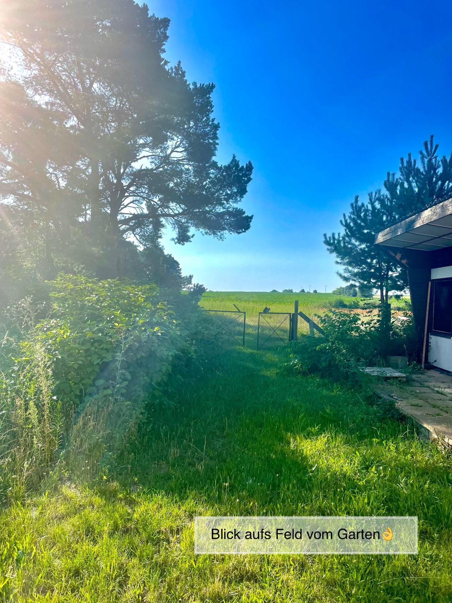 Modernes Ferienhaus Mit 3 Schlafzimmern In Der Naehe Vom Scharmuetzelsee เวนดิสช์รีทซ์ ภายนอก รูปภาพ